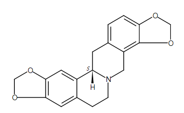 (-)-Stylopine 84-39-9